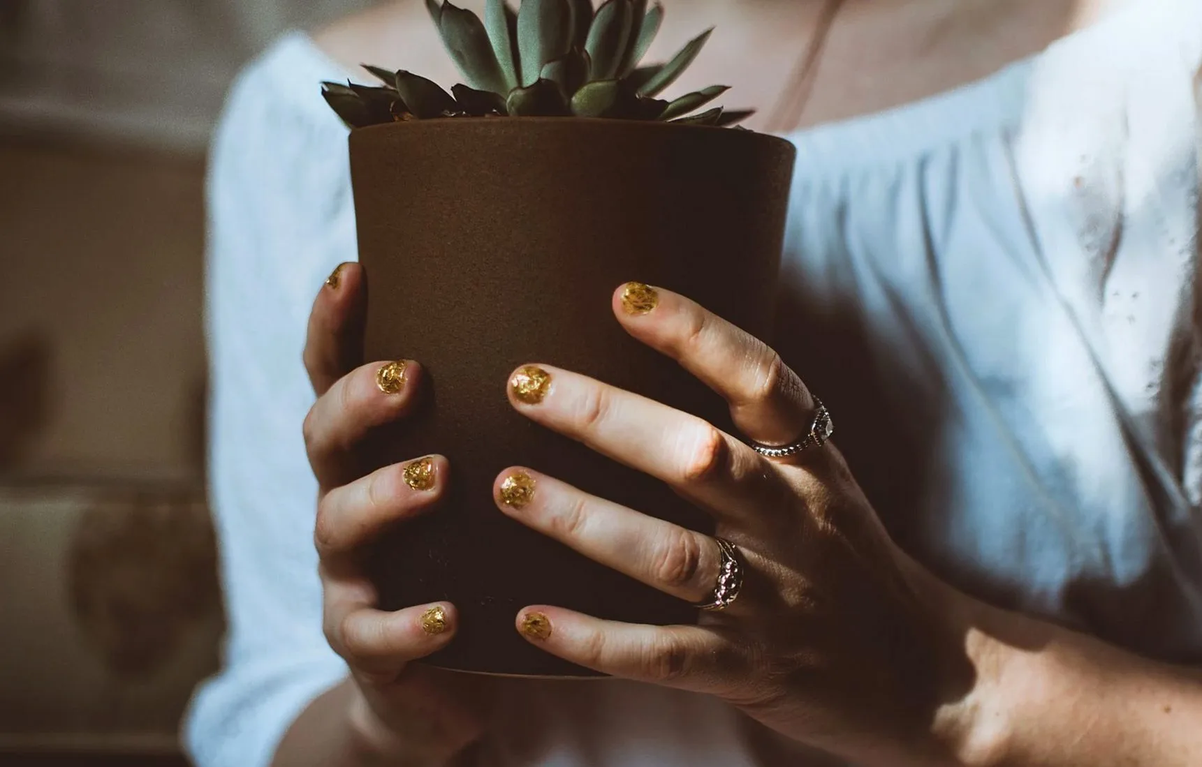 Close-up of woman's hands with glitter nail polish holding a potted succulent.